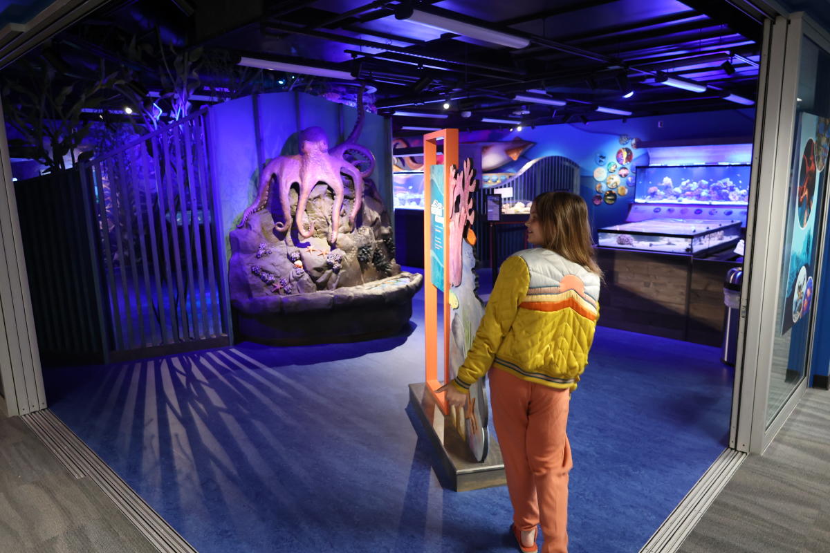 The University of Arizona & Flandrau Science Center